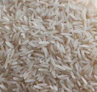 برنج شمشیری یکساله