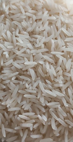 شمشیری یک ساله شمال (کپی)